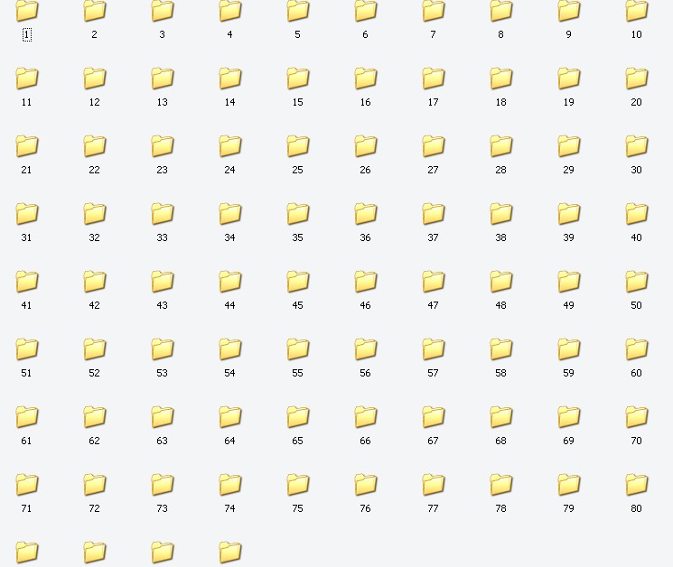 14.jpg