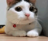 psb.gif