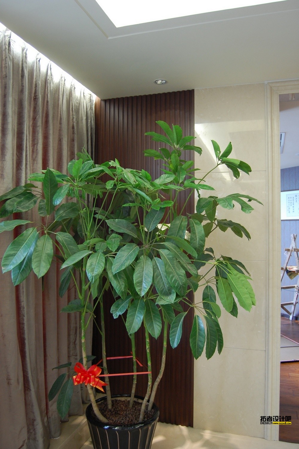 ת DSC_4968.jpg