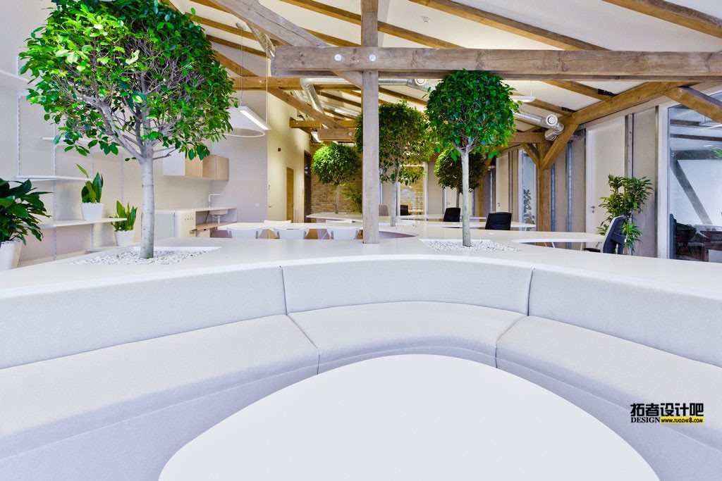 office-greenhouse-11.jpg