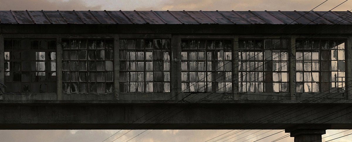 Crop_12.jpg