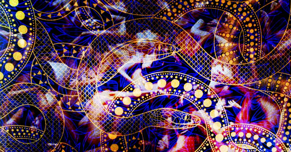 qotn-snakes-large.jpg