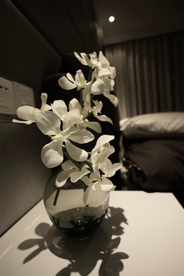 psb (7).jpg
