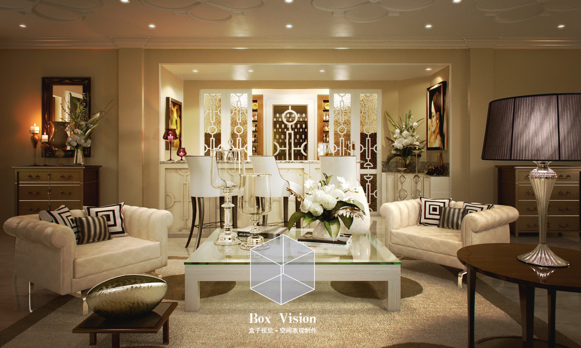 Box Vision (7).jpg
