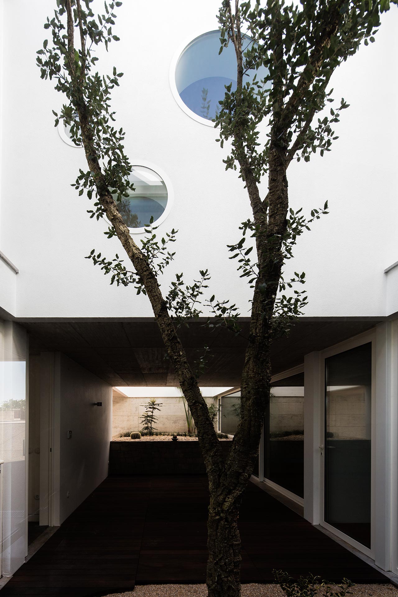 s1_casal_dos_claros_leiria_portugal_contaminar_arquitectos_photo_fernando_guerra.jpg