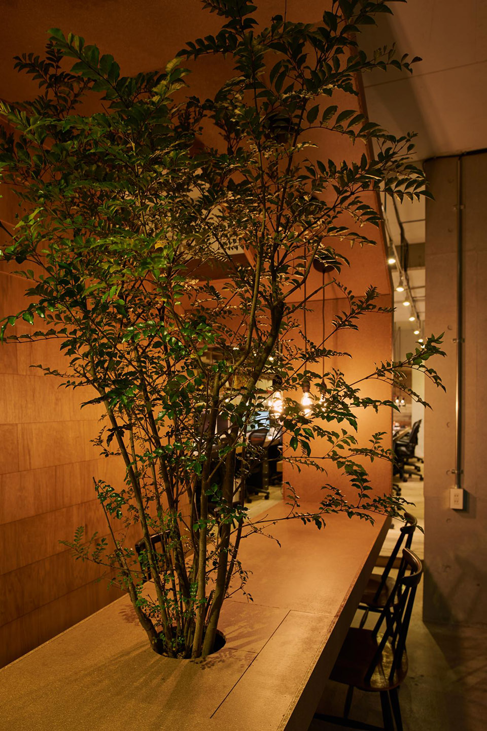 017-Office-f-by-Tenhachi-Architect-Interior-Design.jpg