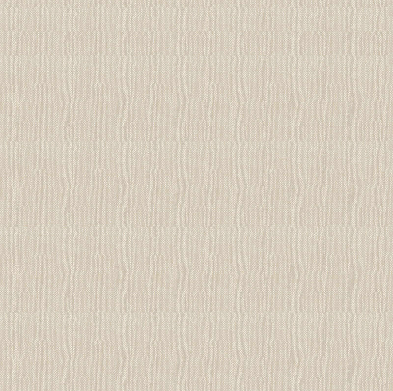 43801 b1.jpg