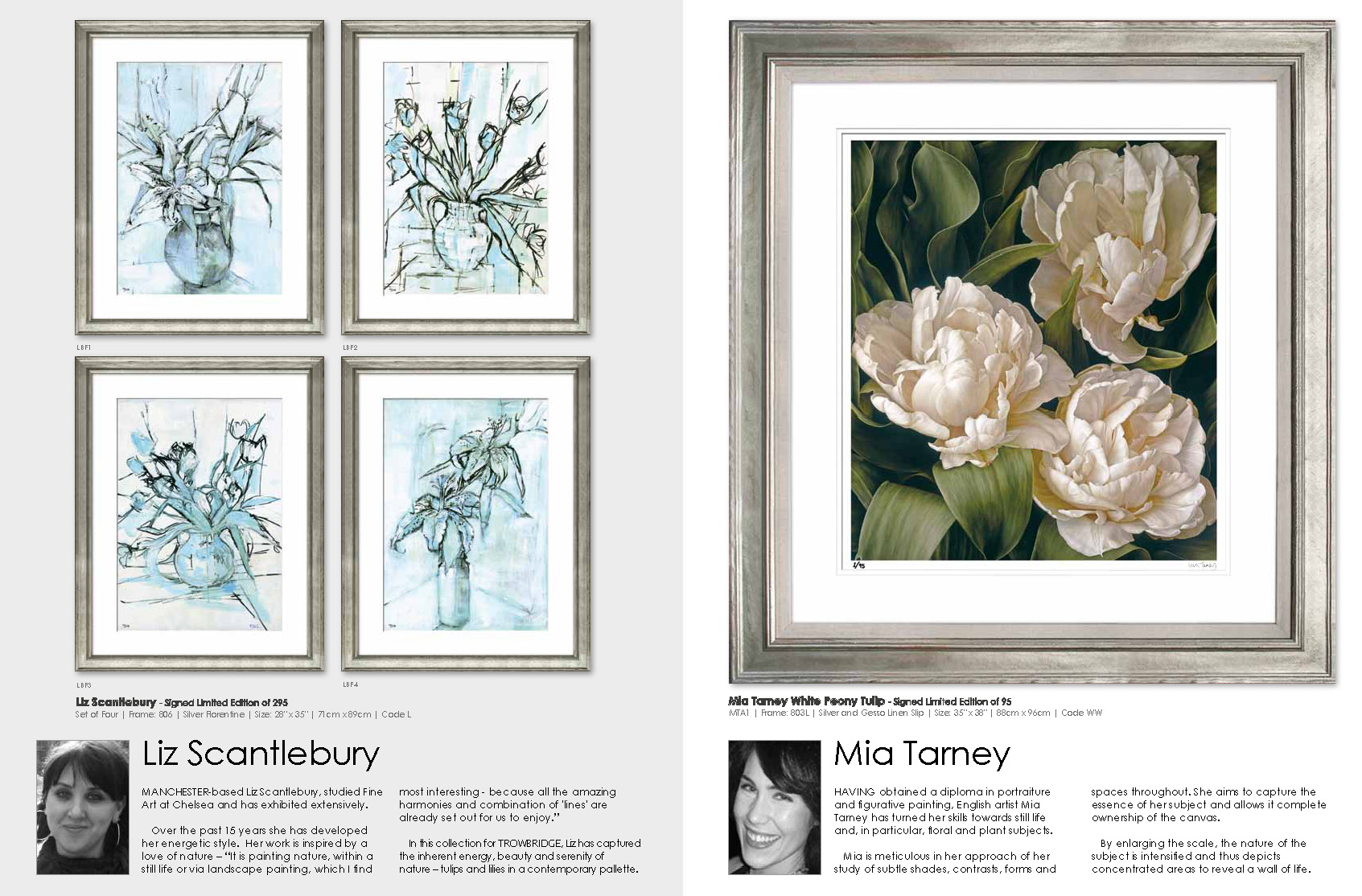 Trowbridge_Catalogue_2012_Jan_Update_web_ҳ_087.jpg