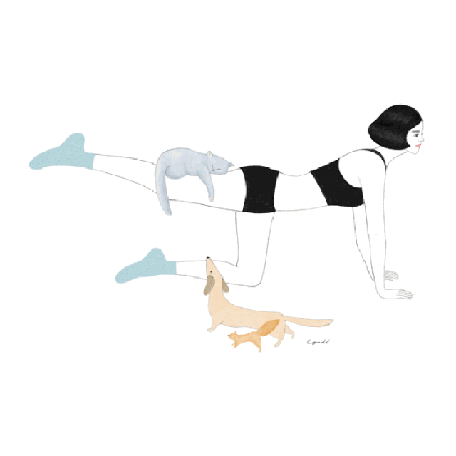 640_wx_fmt=gif&amp;tp=webp&amp;wxfrom=5&amp;wx_lazy=1.gif