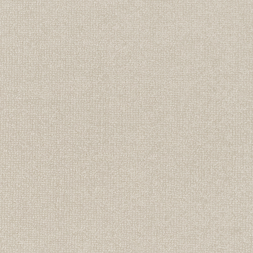 2alpaca-17f.jpg