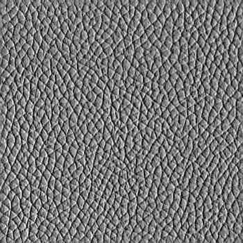 Arch41_028_lether.jpg