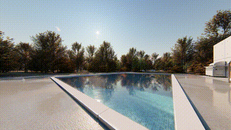 11.gif