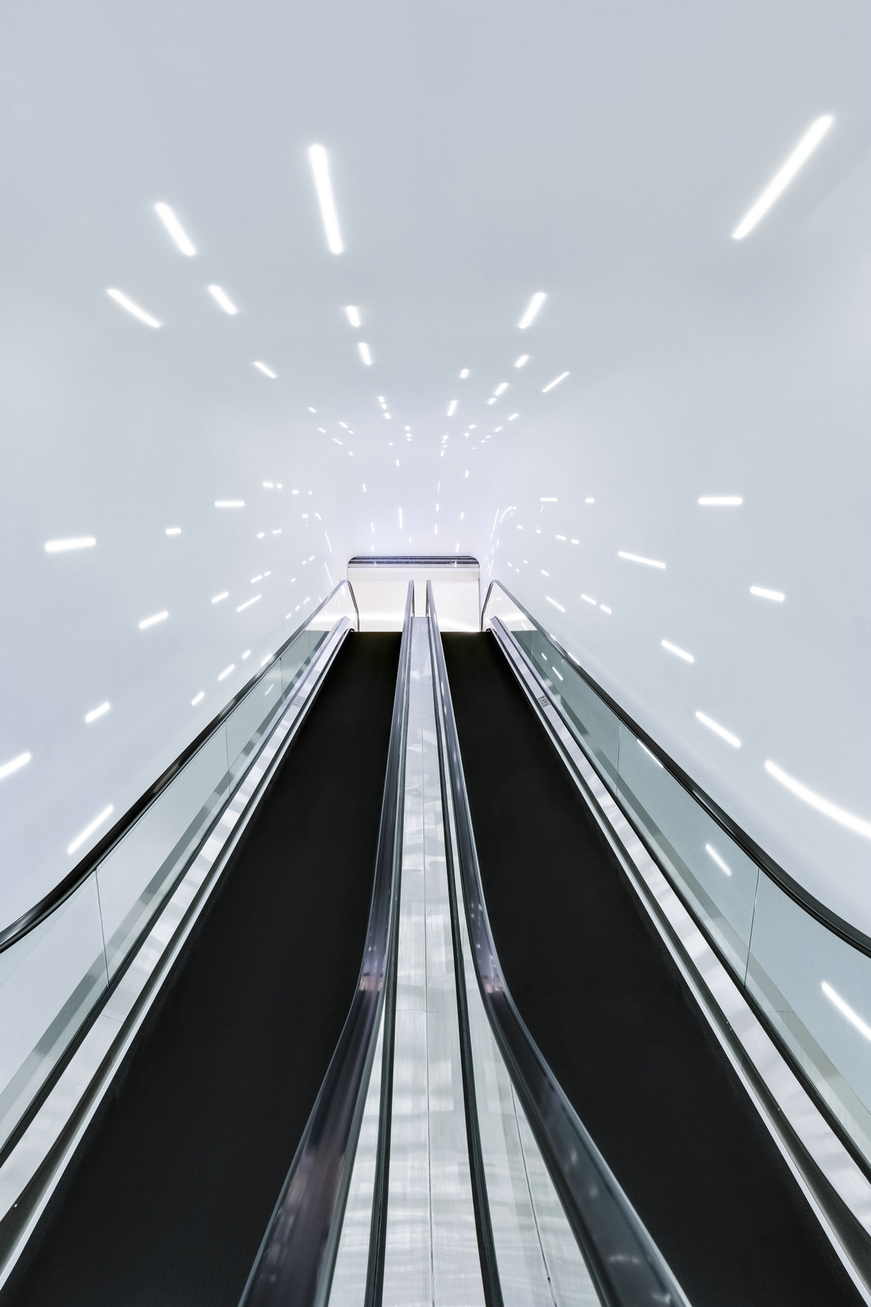 05 the escalator featuring dynamic optical tunnel-1.jpg