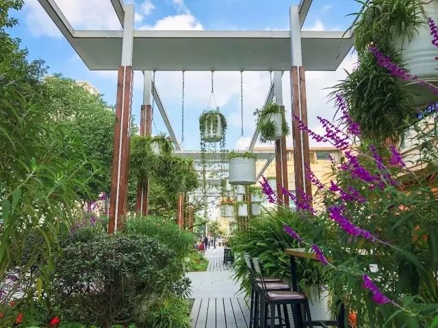 �ɶ���ҵ�ۺ����������������������-������