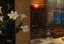 ���ĸ�-����Ҽ�Ź���