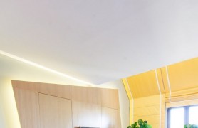 �ҡ��ס��ơ��� һ��ɫ�ʵĻ���ð��