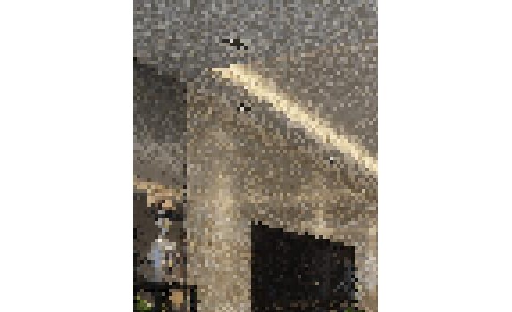 ЧͼȾ