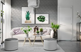 ��ֲ���ñ�ŷ���������||Thai Quang