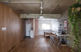 ��ůƽ�� �����Լ���Ӽ�