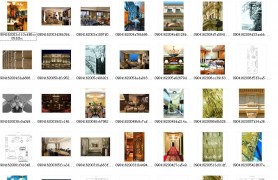 2009������ʾƵ������˼������Ī˹��