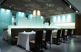 ������Ͳ���