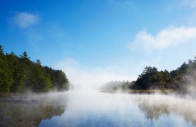 �¹�Saxony���׸�ũ���������