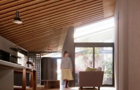 ̨����ܰСľ��