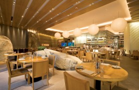 ʢ���Ƶ��������