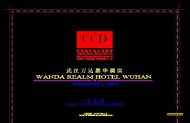 CCD-人λƵ