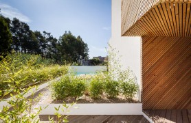 ��������̲ɳ����Ȼľ��