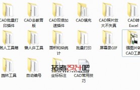 CAD ȫ