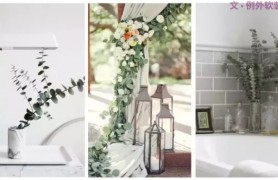 �������ǻ��ս�İٴ���Ҷ�����Ǵ���Ȼ�ġ����͡�