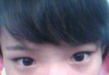 Ʈ