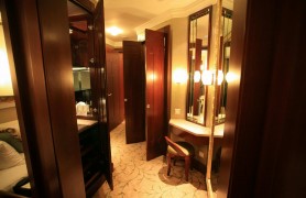 ���ڸ������������Ƶ�