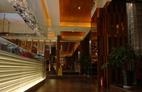 �������㱴��������