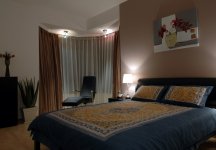 (������Ʒ)�����������