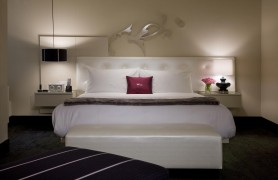 ֥�Ӹ��������W�Ƶ�