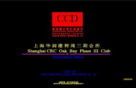 CCD-ϺCCD20110830
