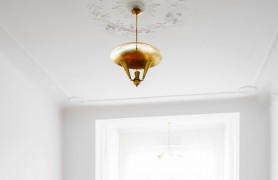 �����������ŨŨ�������