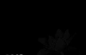 ����˫��ľ����ʽ����