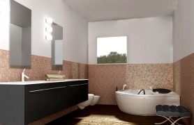 ԡ��װ��ע����������Щ ԡ��װ�޷�ˮ����