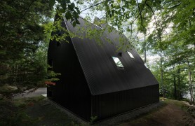 ͯ��˫���ǣ�������ɭ��С��