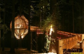 �¿���Yellow Treehouse����