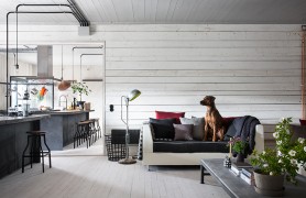 ��ů��ŷ����Ӳ�ʹ�ҵ�����ײ