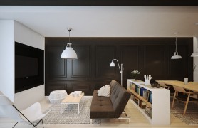 �úڰ�ɫ����������֮��