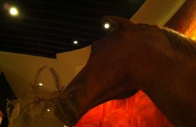 ���������ô�ʦMr. Thomas Schoos����--̨����԰����