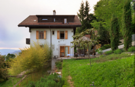 ԭʼ���ִ��Ľ��� ���Ͻ�����������