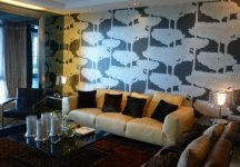 ��־�죺���ٰ뵺.������¥���巿